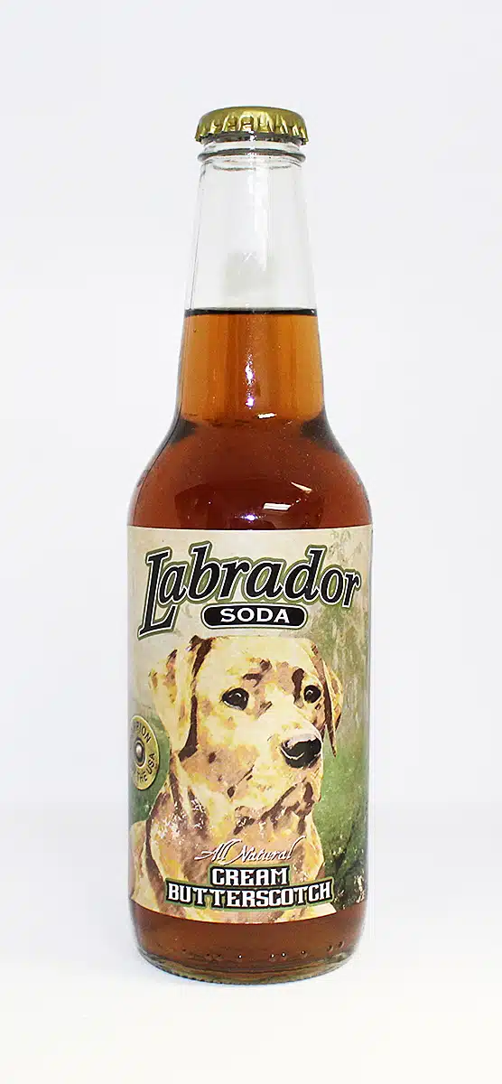 Labrador Soda All Natural Cream Butterscotch | Rocket Fizz
