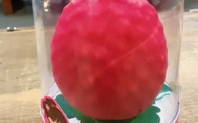 The viral fruit ice cream trend just leveled up.